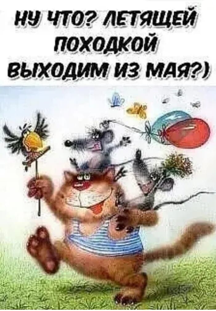 из чт лпящги походкой вьтодим из мм и к 1