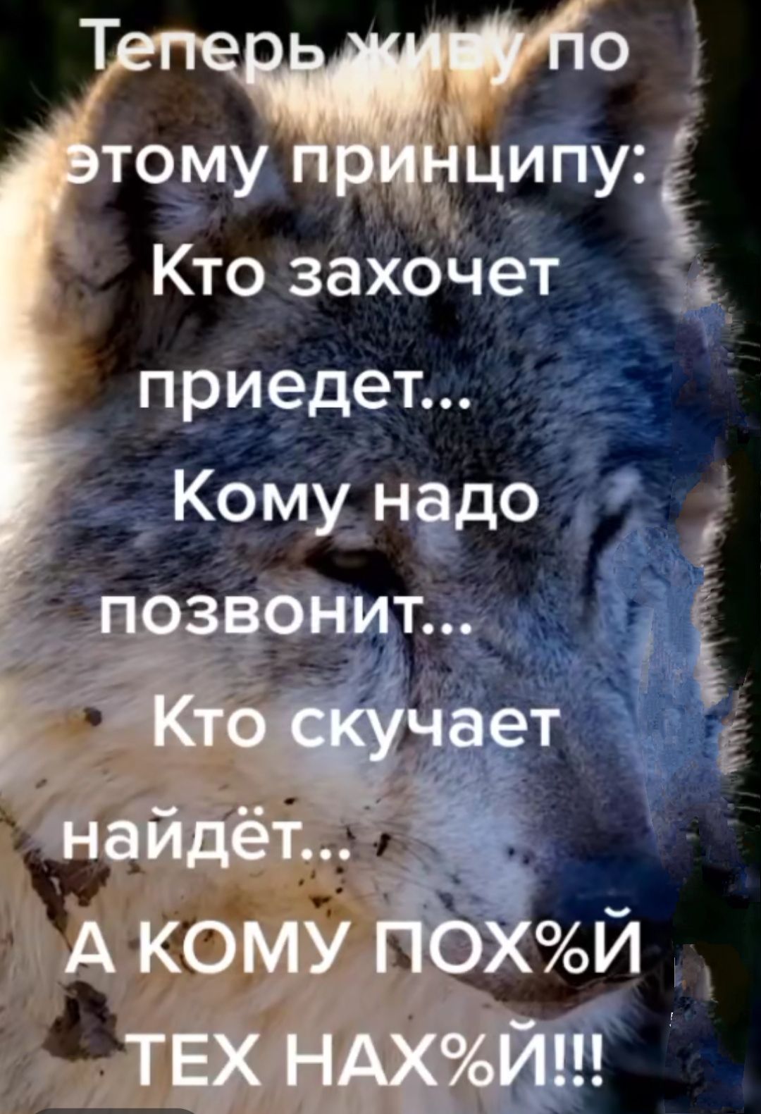 Ктозахбдет приедег