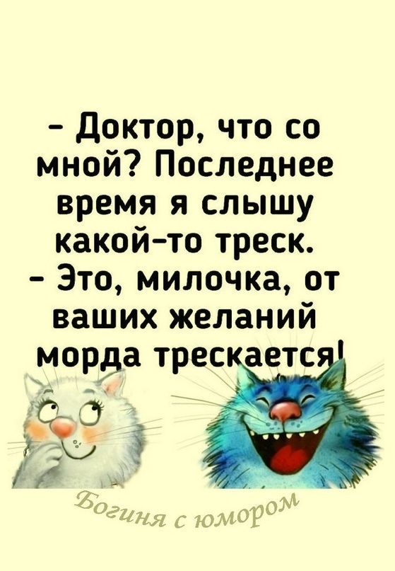 доктор что со мной Последнее время я слышу какой то треск Это милочка от ваших желаний морда трес аетс к _