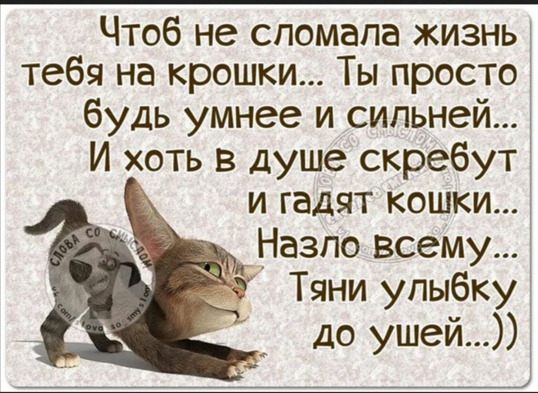 Чтоб не спомапа жизнь тебя на крошки Ты просто будь умнее и сильней И хоть в душе скребут и гадят кошки Назло всему 3 Тяни улыбку до ушей