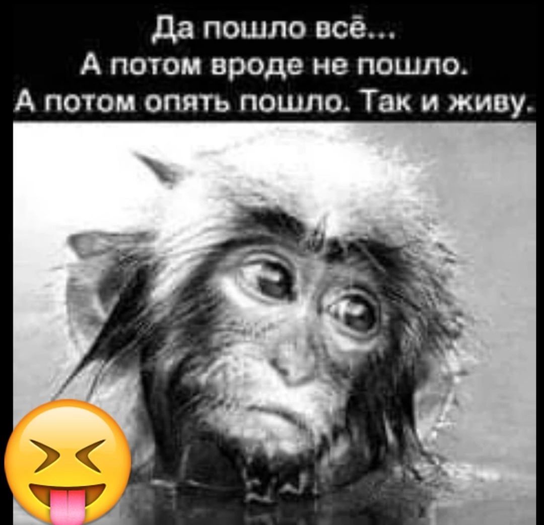 да пошло всё А потом вроде не пошло А потом опять пошла Так и живу