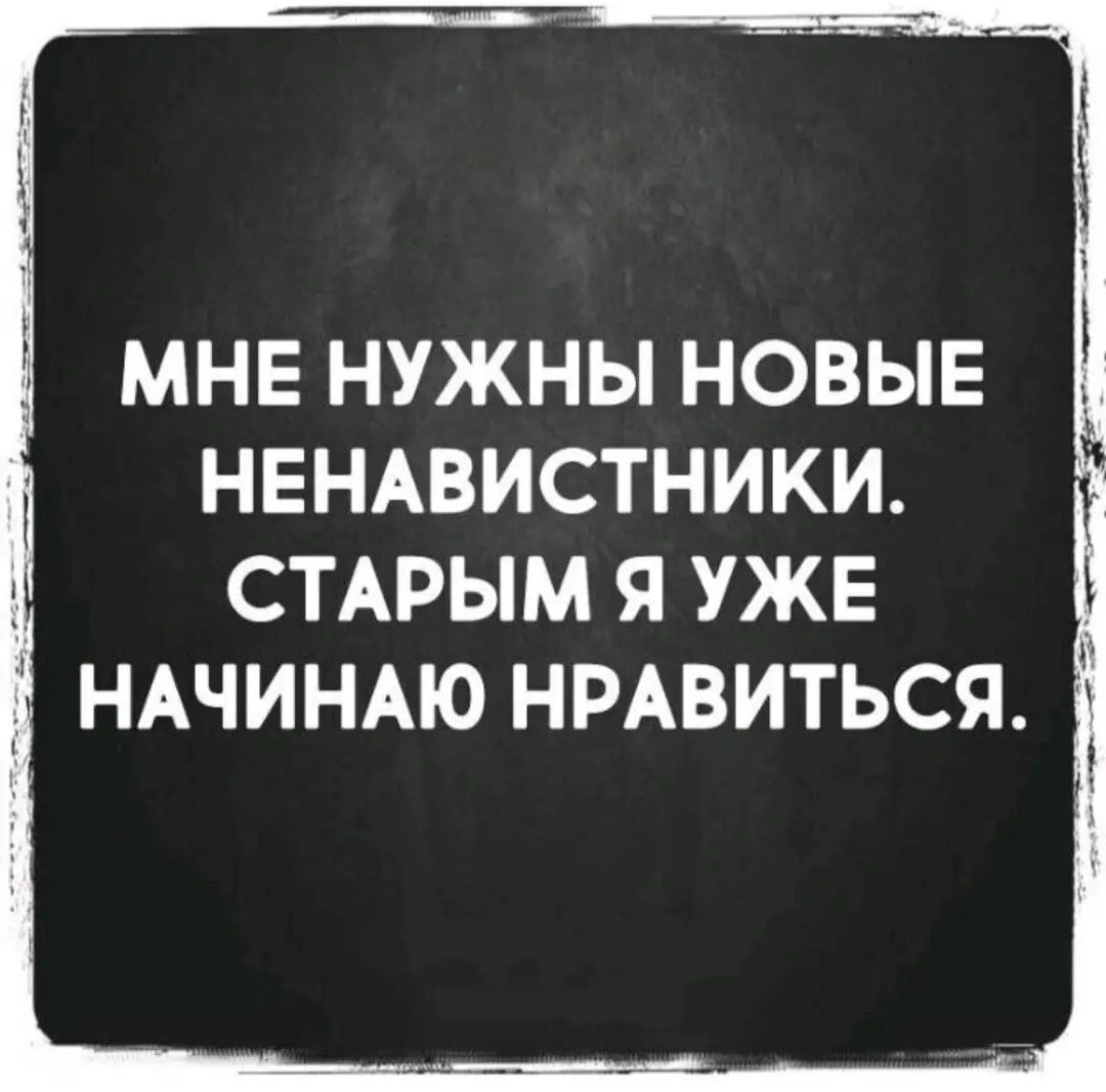 Нужен последний. Мне нужны новые ненавистники. Мне нужны новые ненавистники старым я. Мотиваторы сарказм. Наглые статусы с сарказмом дерзкие.