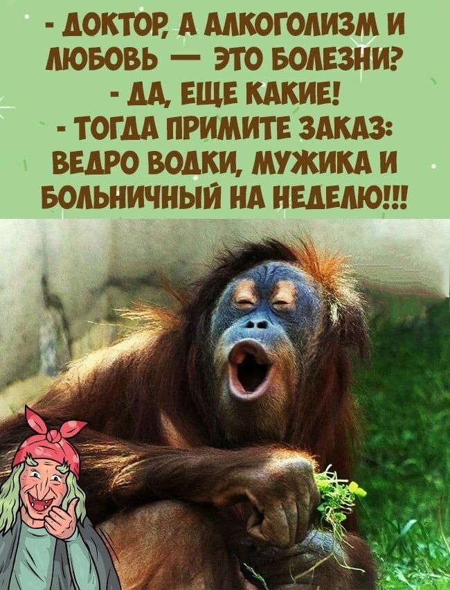 ЛОКТОР А АЛКОГОЛИЗМ И ЛЮБОВЬ ЭТО БОЛЕЗНИ ЛА ЕЩЕ КАКИЕ ТОГЛЛ ПРИМИТЕ ЗАКАЗ ВЕЛРО ВОЛК МУЖИКА И БОЛЬНИЧНЫИ НА НЕДЕЛЮ