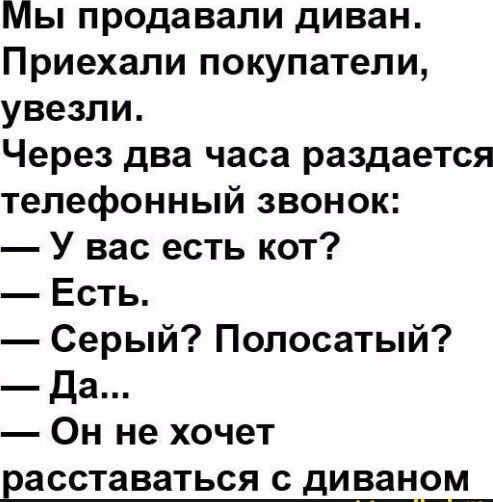 Мы продавали диван Приехали покупатели увезли Через два часа раздается телефонный звонок У вас есть кот Есть Серый Полосатый Да Он не хочет ЕЗССТЗВЗТЬСЯ С диваном