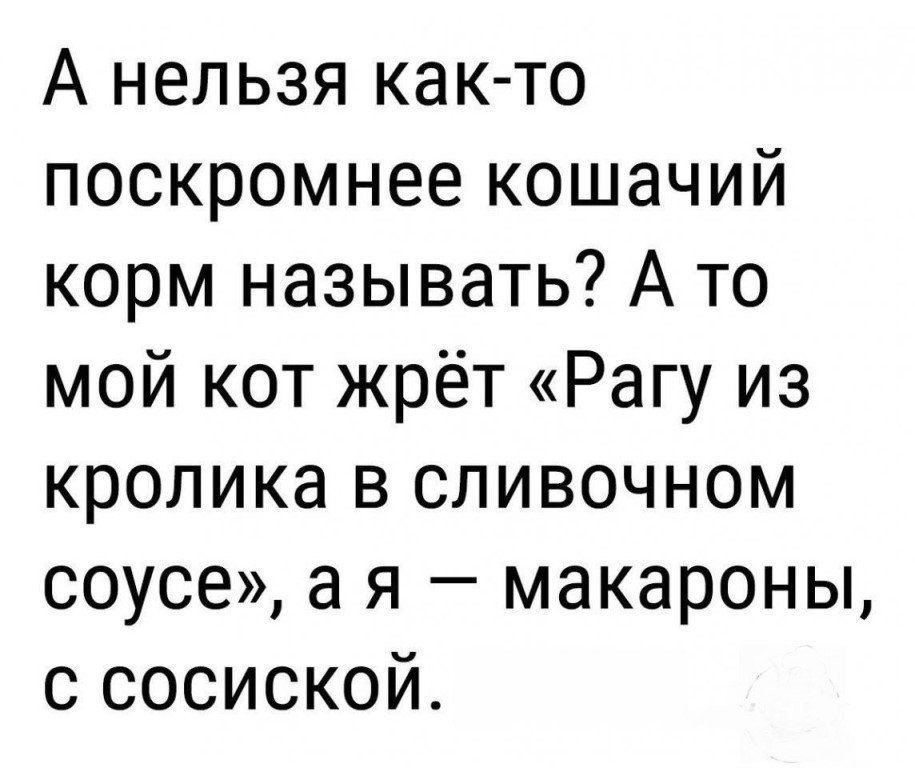 А нельзя как то поскромнее кошачий корм называть А то мой кот жрёт Рагу из кролика в сливочном соусе а я макароны с сосиской