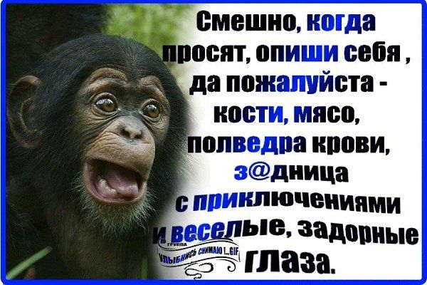 смешно когда повят опиши снип да пожалуйста кости мясо опвндпа иппви эдиица ппиипючвииями _ ыв заданные ЗЧ глаза