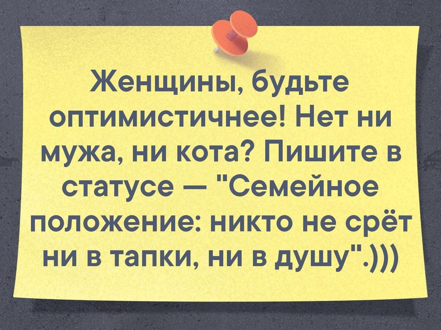 Женщины будьте оптимистичнее Нет ни мужа ни кота Пишите в статусе Семейное положение никто не орёт ни в тапки ни в душу