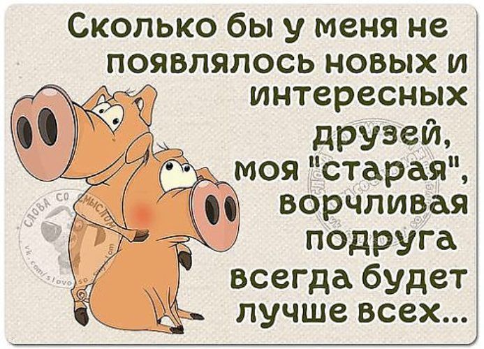 Сколько бы у меня не появлялось новых и интересных друзей ворчливая подруга всегда будет лучше всех