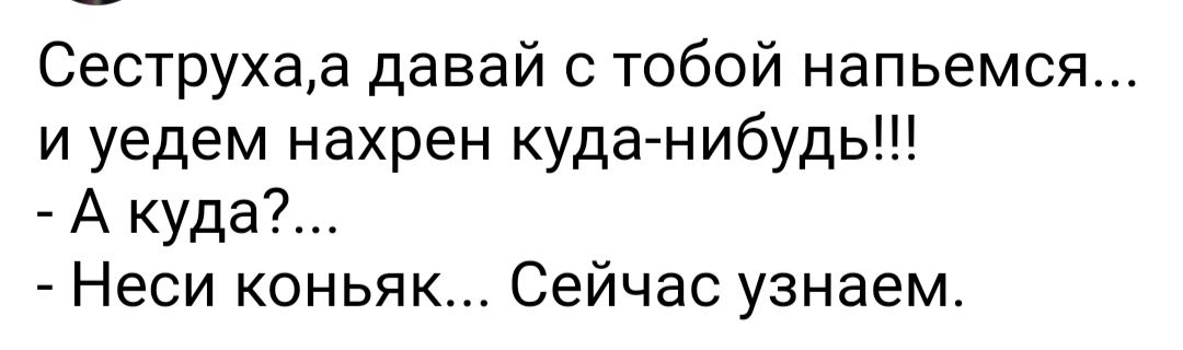 Сеструхаа давай с тобой напьемся и уедем нахрен кудацнибудь А куда Неси коньяк Сейчас узнаем