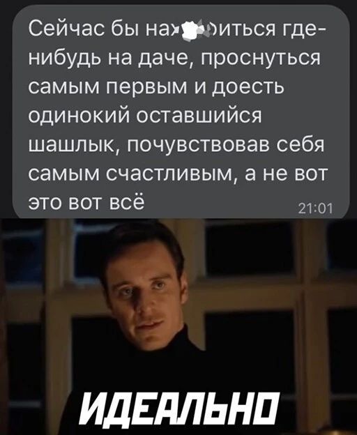 Сейчас бы наиться где нибудь на даче проснуться самым первым и доесть одинокий оставшийся шашлык почувствовав себя самым счастливым а не вот это вот всё 2 ИдЕдЛЬНП