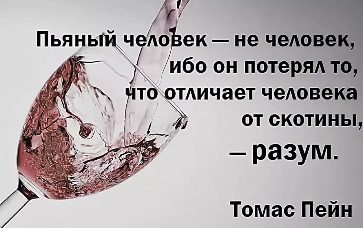 і1 Пьяный ч А0 ек не чеАовек ибо он потерял то то _отАичает человека от скотины разум Томас Пейн