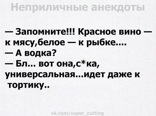 Запомните Красное вино к мясубепое к рыбке А водка Бл вот онаска универсальнаяидет даже к тортику