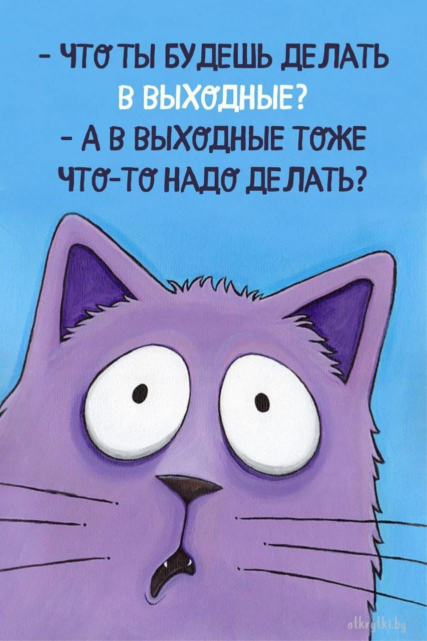 ЧТО ТЫ БУДЕШЬ дЕЛАТЬ А В ВЫХОДНЫЕ ТОЖЕ ЧТО Тб НАДО дЕЛАТЬ