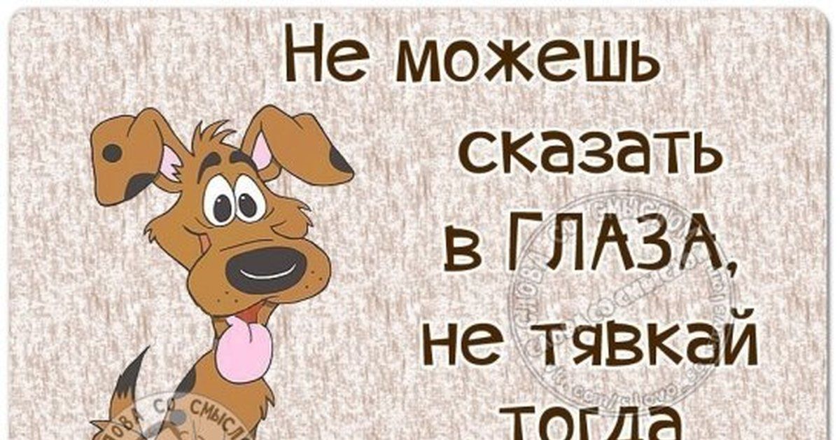 Можешь сказать. Не можешь сказать в глаза. Друзья которые говорят за спиной. Не можешь сказать в глаза не тявкай. Не можешь сказать в глаза не тявкай за спиной.