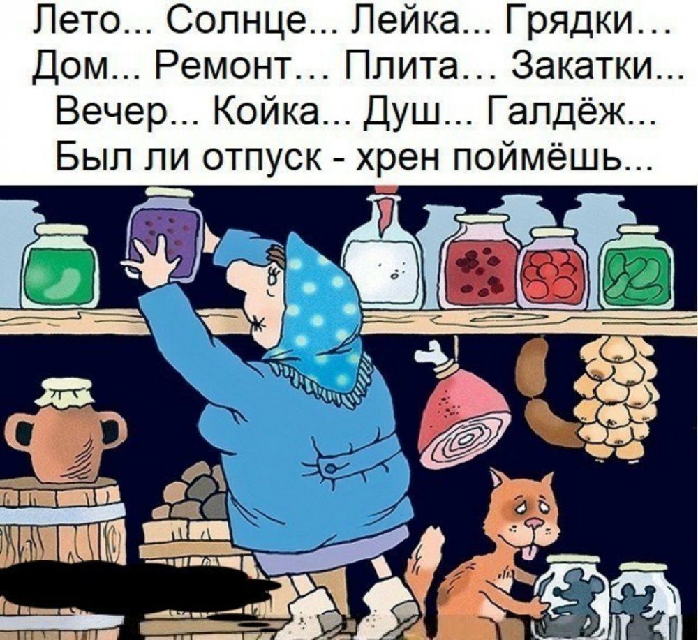 Лето Солнце Лейка Грядки Дом Ремонт Плита Закатки Вечер Койка Душ Гапдёж Был ли отпуск хрен поймёшь