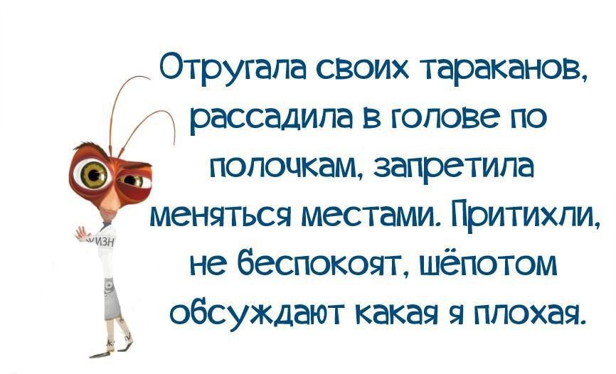 Отругапа своих тараканов рассадипа в голове по полочкам запретила меняться местами Притихпи не беспокоят шёпотом обсуждают какая я плохая З
