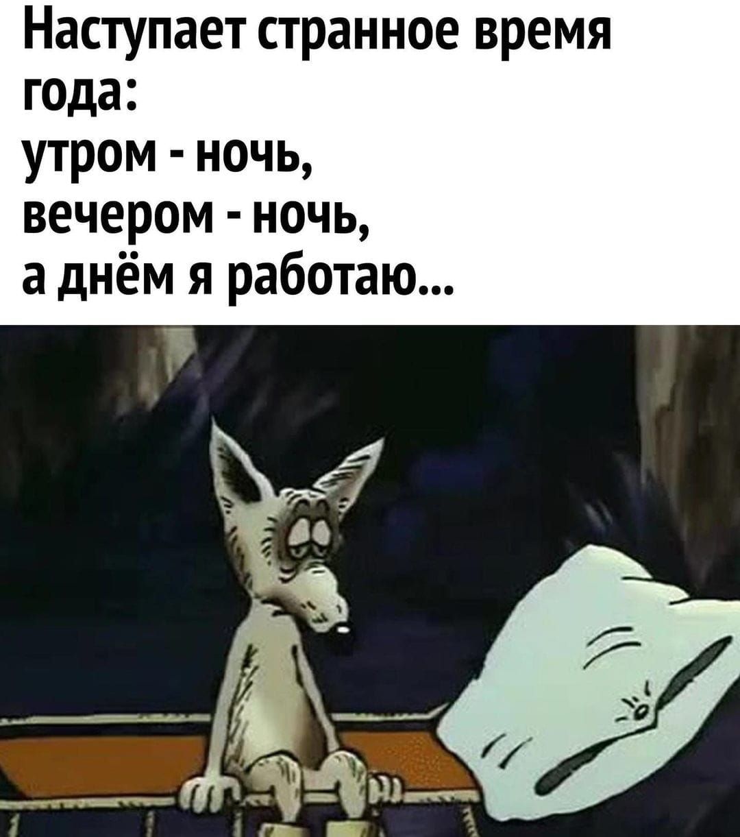 Наступает странное время года утром ночь вечером ночь а днём я работаю