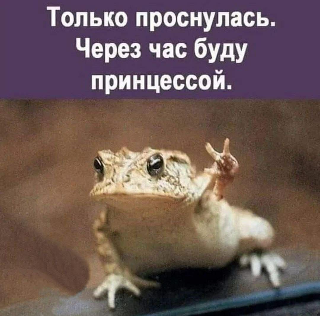 Только проснулась Через час буду принцессой