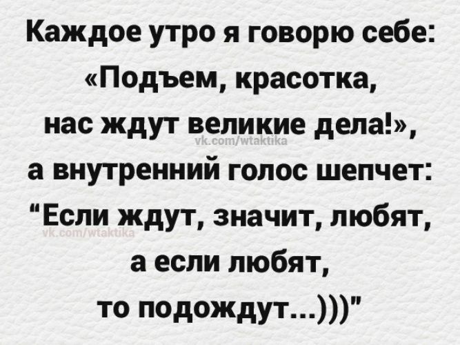 Каждое утро я говорю себе Подъем красотка нас ждут великие дела а внутренний голос шепчет Если ждут значит любят а если любят то подождут