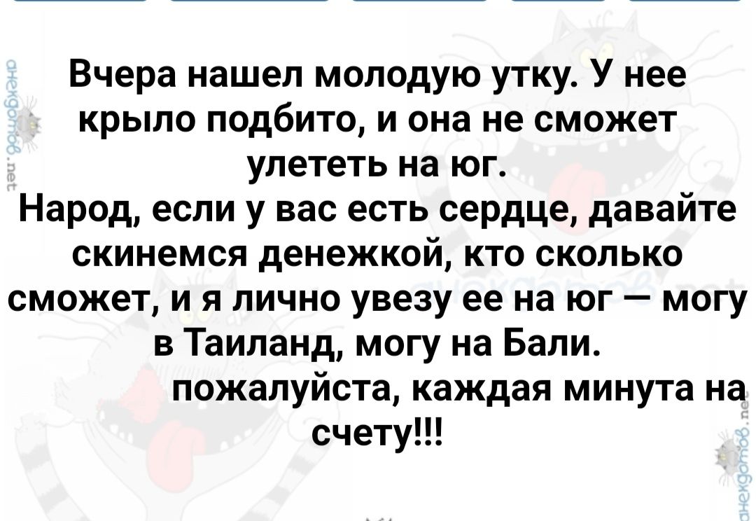 Вчера нашел молодую утку У нее крыло ПОДбИТО И она не СМОЖЕТ УЛЕТЕТЬ на ЮГ Народ если у вас есть сердце давайте скинемся денежкой КТО СКОЛЬКО СМОЖЕТ И Я ЛИЧНО увезу ее на ЮГ _ МОГУ в Таиланд могу на Бали ПОЖЗПУЙСТЭ Каждая МИНУТЗ на счету