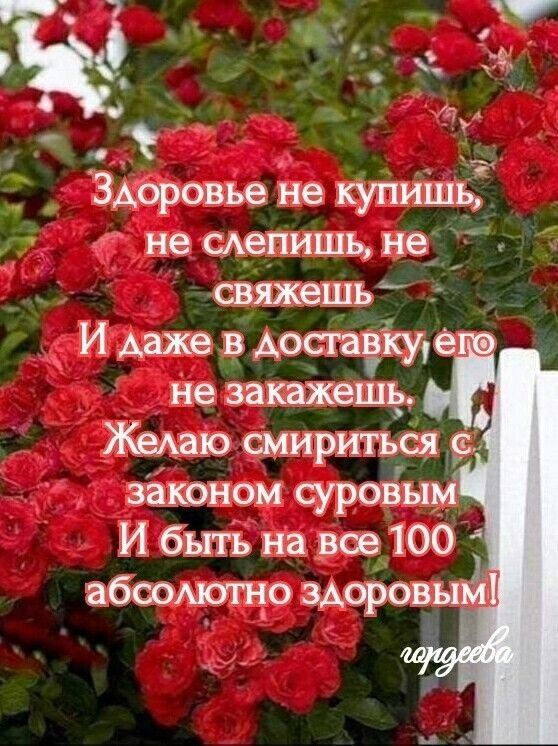 _ Здоровье не кіл1иШь не ценить 953 И быть на 303100 абсодщо здоровый