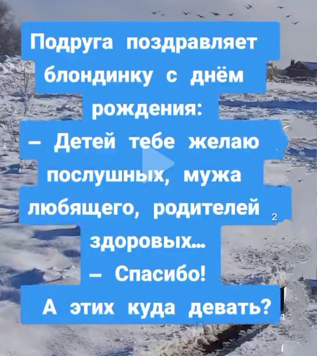 Подруга поздравляет блондинку с днём рождения _ детей тебе желаю послушных мужа любящего родителей здоровых Спасибо А этих куда девать 2 А