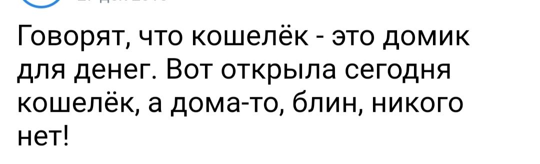 Говорят что кошелёк это домик для денег Вот открыла сегодня кошелёк а дома то блин никого нет