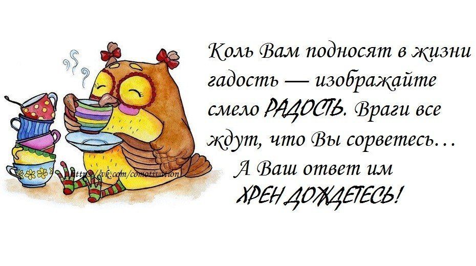 Коль Вам подносят в жизни гадость изоЕрщйте шем Враги все ждут что Вы сиротам 1 дш ответ им жргщощяты