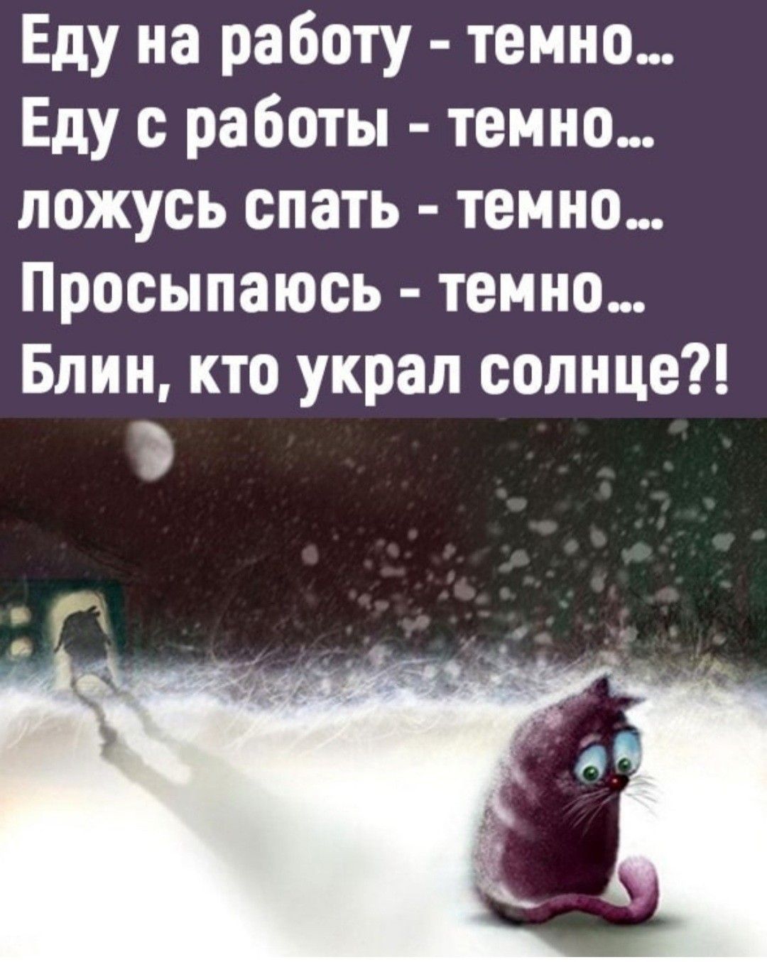 Еду на работу темно Еду с работы темно ложусь спать темно Просыпаюсь темно Блин кто украл солнце