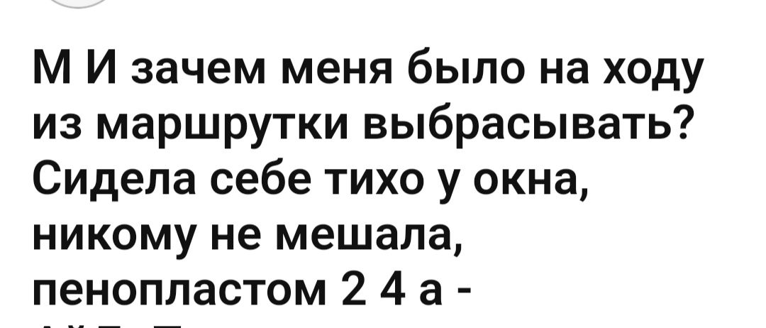 М И зачем меня было на ходу из маршрутки выбрасывать Сидела себе тихо у окна никому не мешала пенопластом 2 4 а