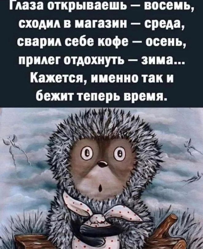 Пиза открываешь восемь сходил в магазин среда сварил себе кофе осень прилег отдохнуть зима Кажется именно так и бежит теперь вреия