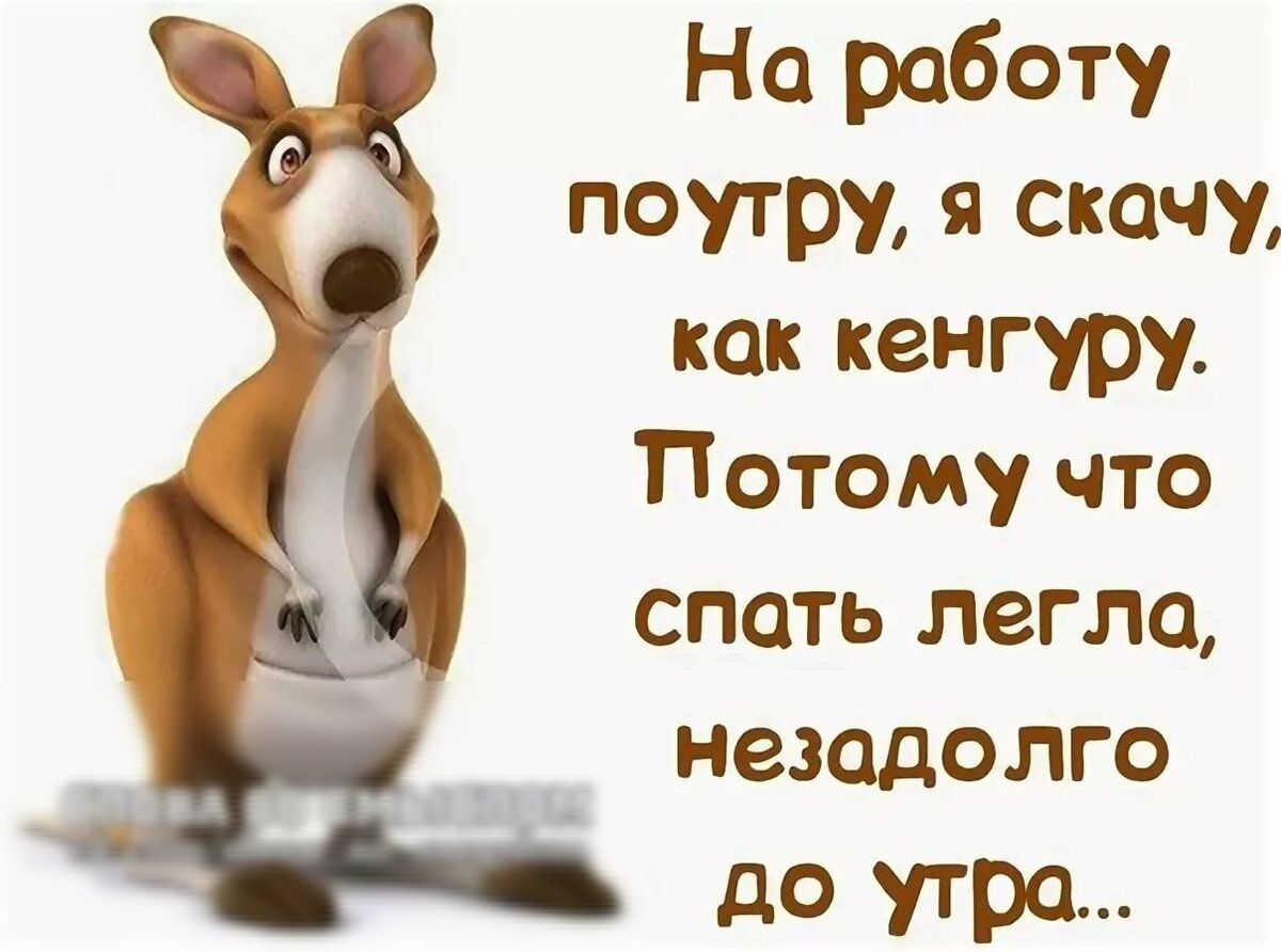 На работу поутру я скочу как кенгуру Потому что спать легла незадолго до утра