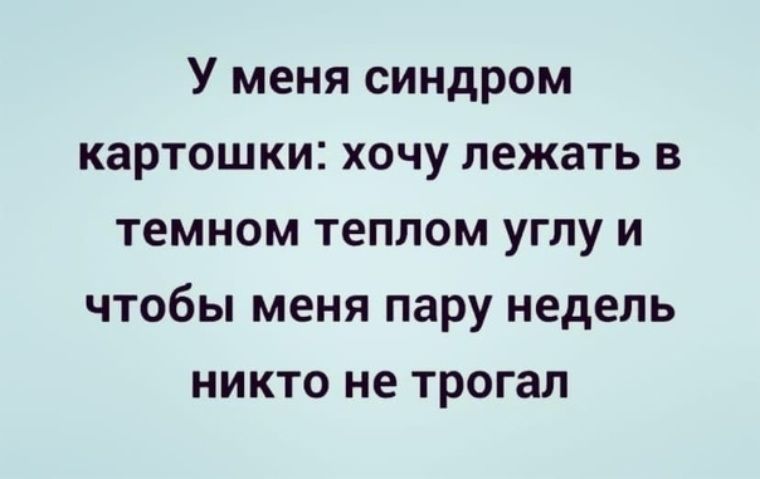 У меня синдром картошки хочу лежать в темном теплом углу и чтобы меня пару недель никто не трогал