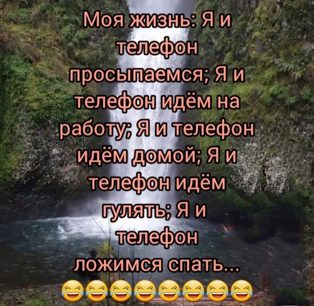 Моя жизньЕЁЯи телефон