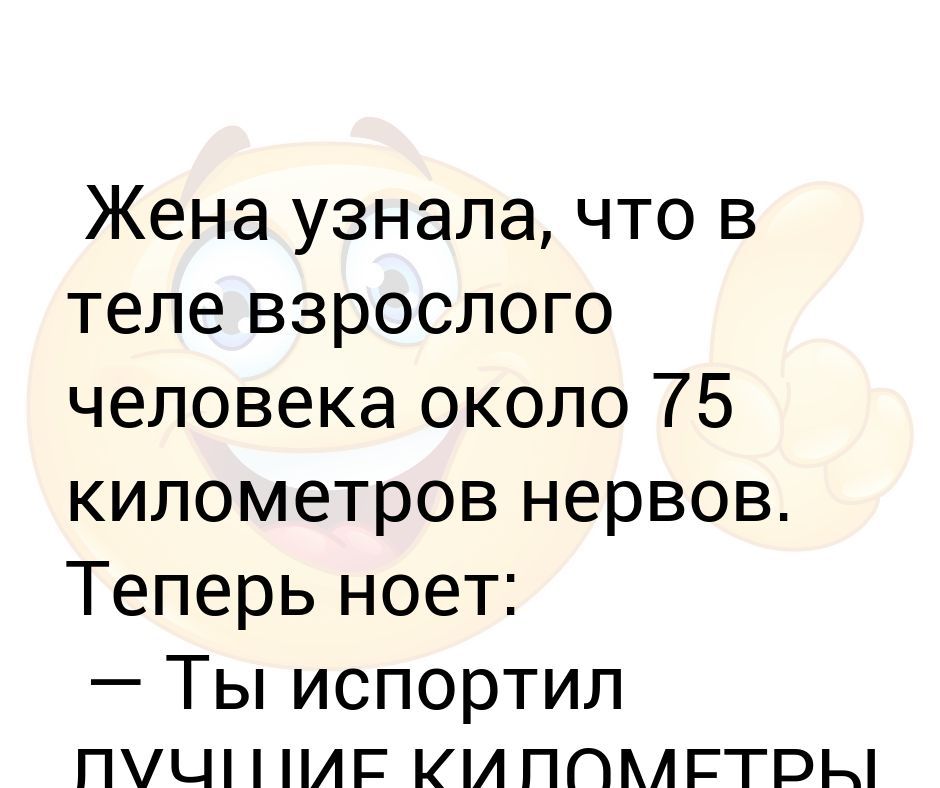 Жена узнала что в теле взрослого человека около 75 километров нервов Теперь ноет Ты испортил пил нм ии ппмгтры