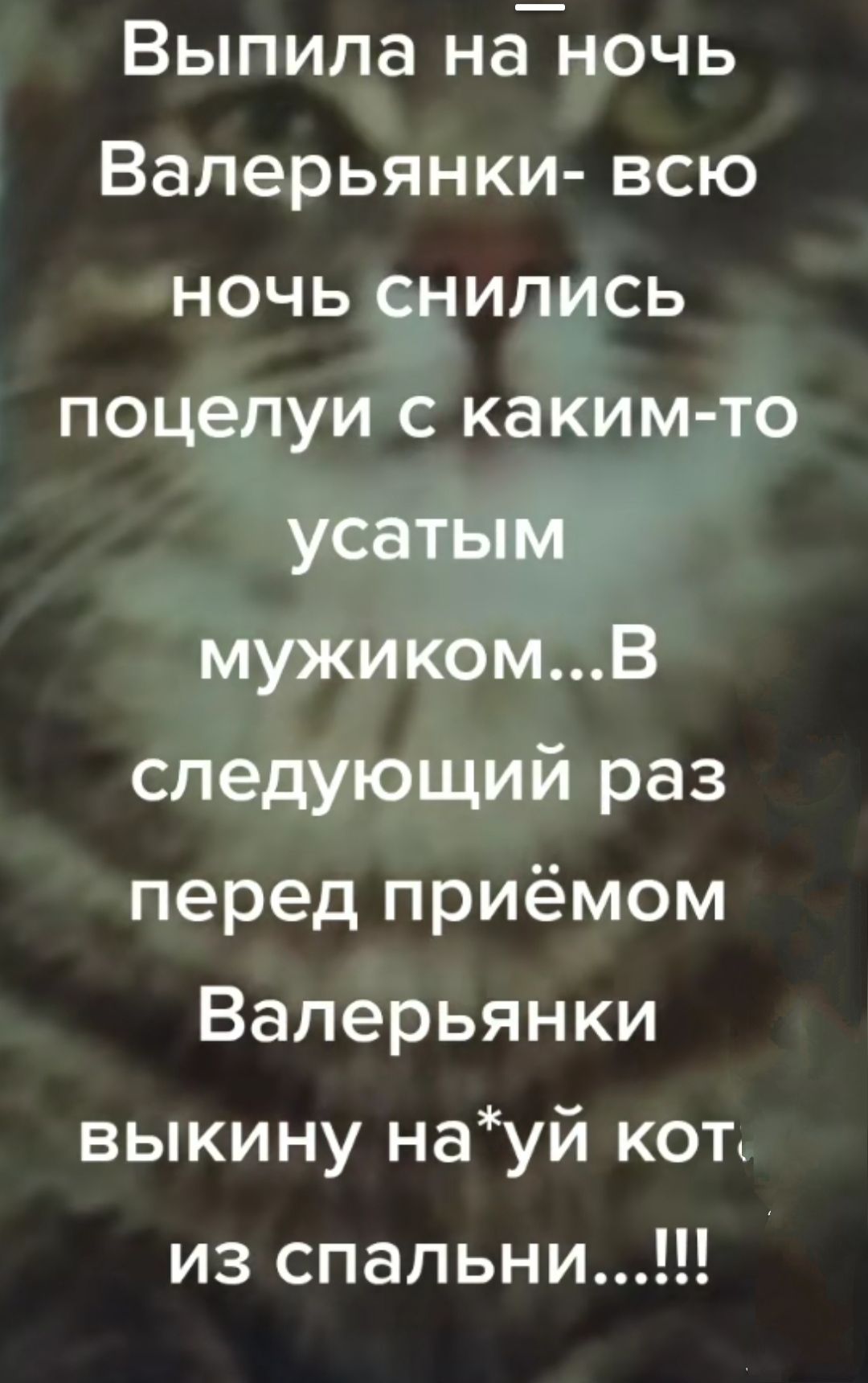 Выпила наночь Валерьянки всю ночь снились поцелуи с каким то усатый мужикомВ следующий раз перед приёмом Валерьянки выкину науй кот из спальни