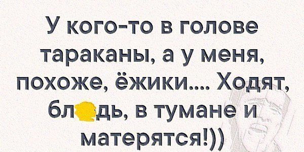 У кого то в голове тараканы а у меня похоже ёжики Ходят блдь в тумане и матерится