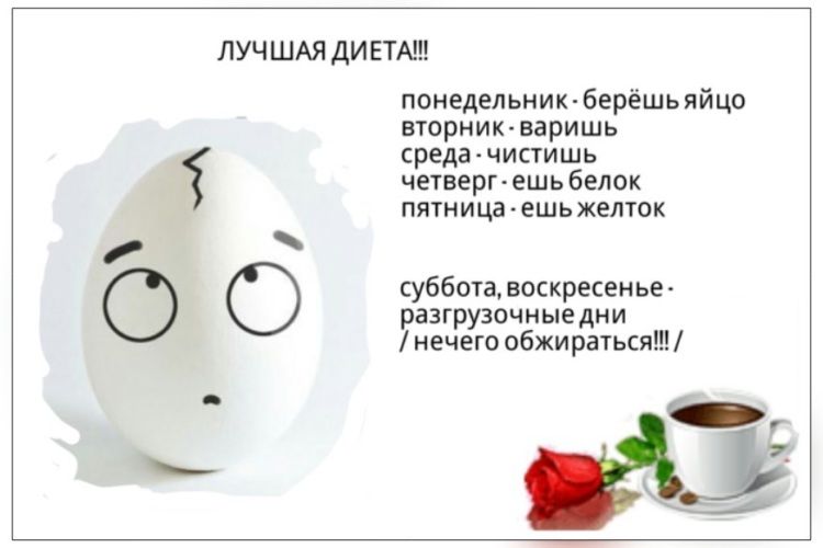 ЛУЧШАЯ дики поислельниюберешьяйцо ыорник варишь средн чистишь чешет ешь белок пятницачешьхелюк уббпидпыреквнье разгрузочные дни нечего аврамяш
