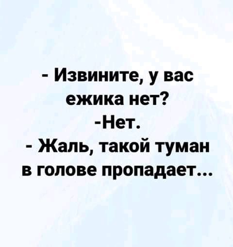 Извините у вас ежика нет Нет Жаль такой туман в голове пропадает