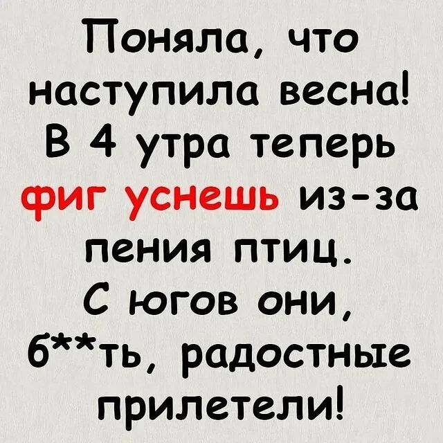 Поняла что наступила весна В 4 утра теперь фиг уснешь из за пения птиц С югов они бть радостные прилетели