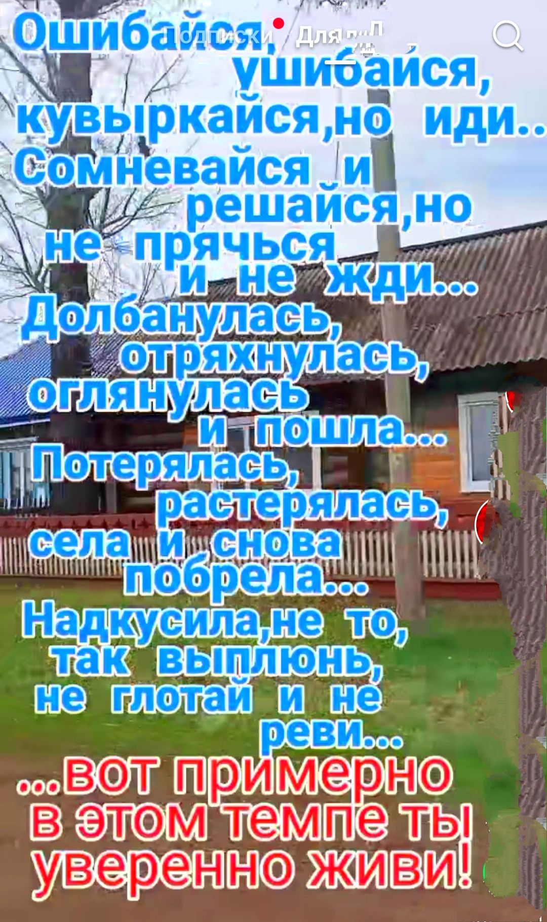 Ошибшы ушибамся Кудыркайсщ но иди Самиевайся и ешайся НО Надюусила не та тёк выплюнь глэгай нё реви опт имерн ЭТФМ темпе живи