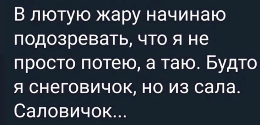 В лютую жару начинаю подозревать что я не просто потею а таю Будто я снеговичок но из сала Саловичок