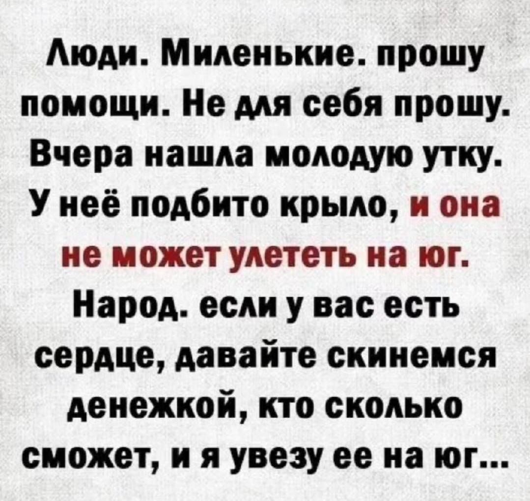 Моли Миленькие прошу помощи Не для себя прошу Вчера нашла молодую утку У неё подбито крыло и она не может улететь на юг Народ если у вас есть сердце давайте скинемся денежкой кто сколько сможет и я увезу ее на юг