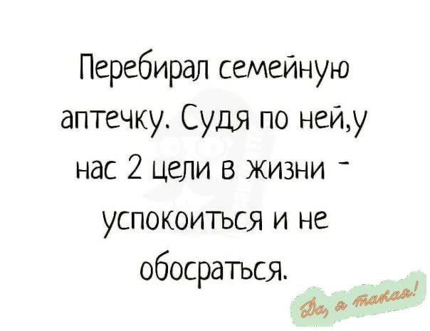 Перебирая семейную аптечку Судя по нейу нас 2 цели в жизни успокоитъся и не обосраться дми