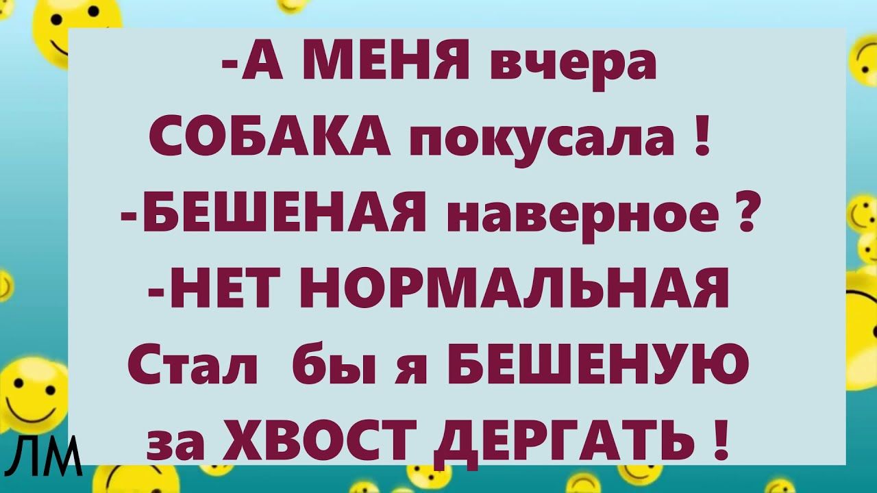 А МЕНЯ вчера СОБАКА покусала БЕШЕНАЯ наверное НЕТ НОРМАЛЬНАЯ Стал бы я БЕШЕНУЮ Л за ХВОСТ ДЕРГАТЬ