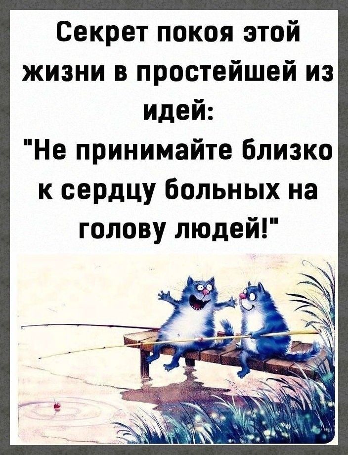 Секрет покоя этой жизни в простейшей из идей Не принимайте близко к сердцу больных на голову людей ВЬ 62ч