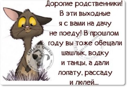 Дорогие родственники В эти выходные я с вами на дачу не поеду В прошлом году вы тоже овещали шешлык водку и танцы а дали лопату рассаду и люлей