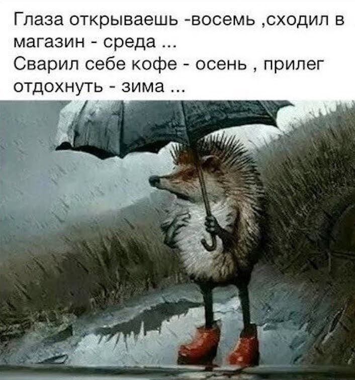 Глаза открываешь восемь сходил в магазин среда Сварил себе кофе осень прилег отдохнуть зима