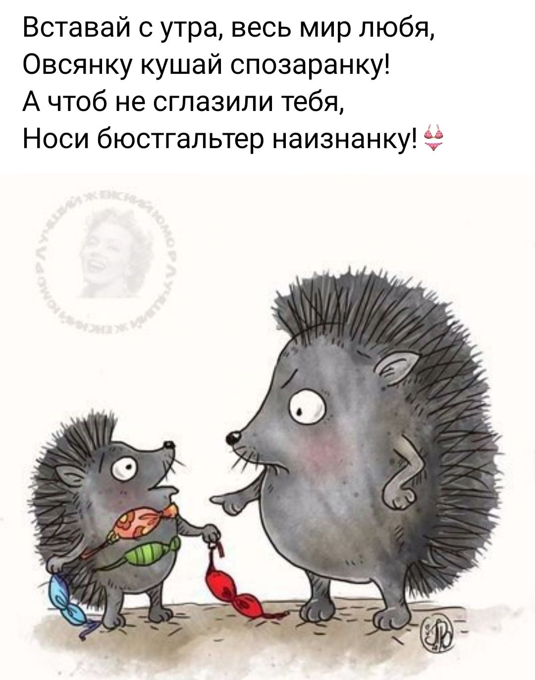 Вставай с утра весь мир любя Овсянку кушай спозаранку Ачтоб не сглазили тебя Носи бюстгальтер наизнанку 2