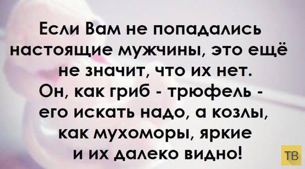 Если Вам не попадались настоящие мужчины это ещё не значит что их нет Он как гриб трюфель его искать надо а козлы как мухоморы яркие и их далеко видно лв